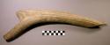 Split elk horn