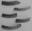 Sherds of brown-black rim - flange bowls (5)