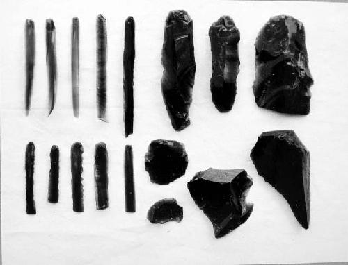 Obsidian flake blades + chips from Pit #1, Finca Las Charcas.