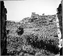 Castillo (Str. 1) from South doorway of Cenote House (Str. 35)