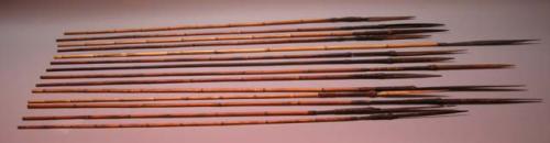 Bamboo-blade arrows for pig killing