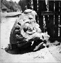 Head of fine sandstone compound. Found in the ruins at West edge of Atasta