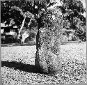 Stone sculpture of seated human ? figure