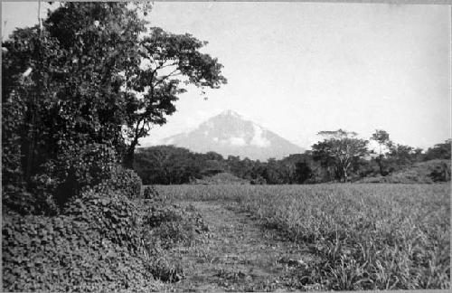 South Coast plain at ruins of San Antonio