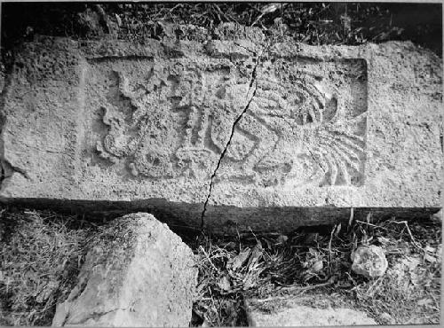 South Bldg., Glyphic Group.  Inner door lintel, underface