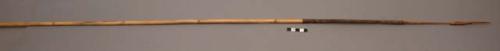 Spear, 48 in. l, bone tip, top shaft carved.