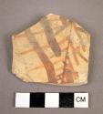 Potsherd showing corn (?)