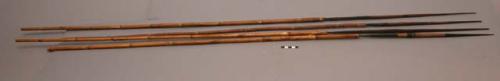Spears or arrows of bamboo shafts and black wooden points, in bad +
