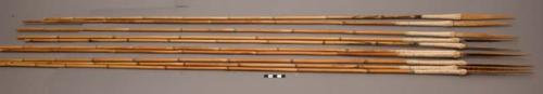 Bamboo arrows with tips - white (paint?) at base of tips (52")