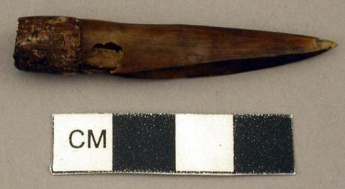 Spear end, possible hoof or horn, one end pointed, other end socketed