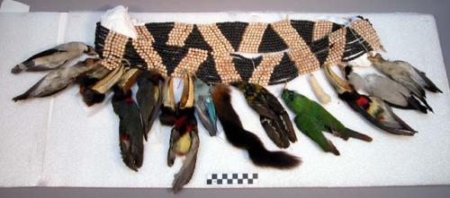 Seed necklace with bird skin pendants