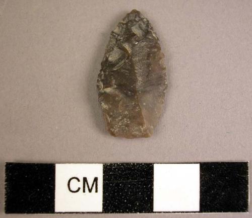 Leaf-shaped grey chert point