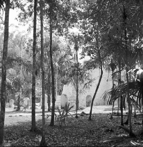 Stelae and Twin Pyramid Complex at Tikal