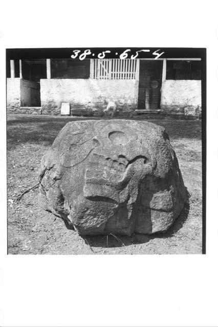 Carved boulder (skull with serpent speach scroll)