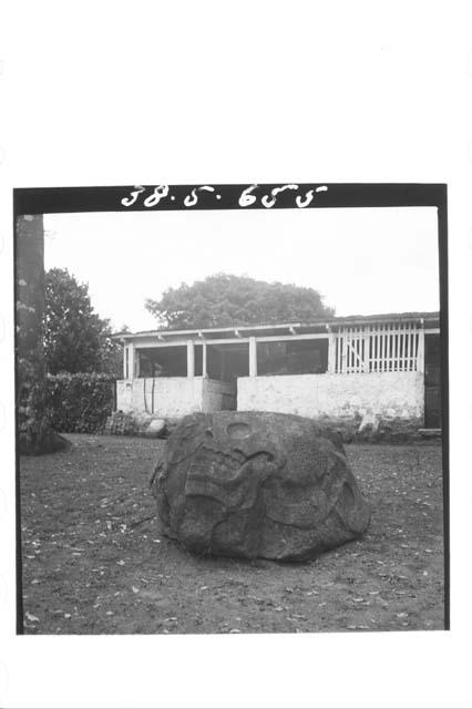 Carved boulder (skull with serpent speach scroll)