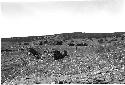 Man Standing Among Adobe Houses