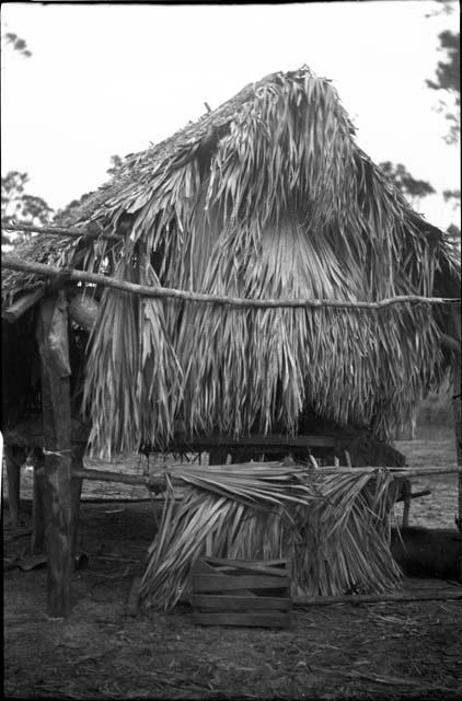 Seminole Village Structure