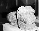 Sculptured stone - tenoned animal head