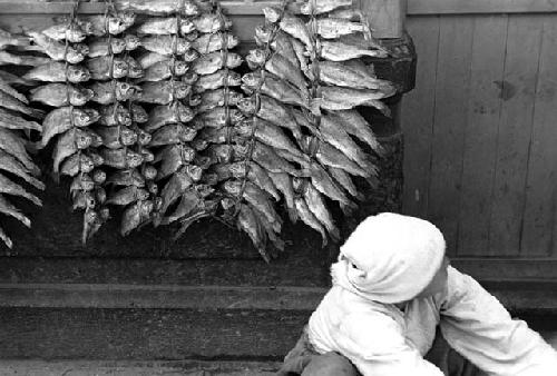 Woman sitting down; strings of caught fish behind her.