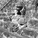 Detail of Hieroglyphic Stairway at Copan