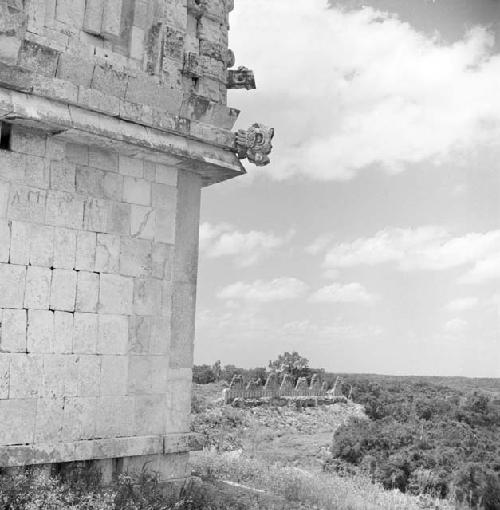 Palomas at Uxmal