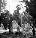 Stelae and Twin Pyramid Complex at Tikal