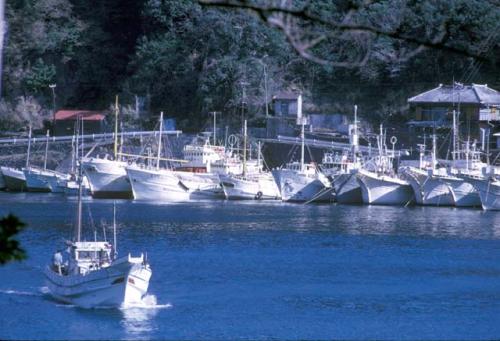 Oshima Island, fishing