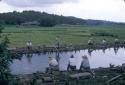 Meshiko, fishing at a "U-Fish" pond