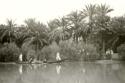 View of River with boats and vegetation Marsh Arab area