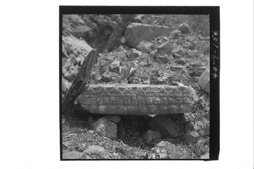 Glyphic Lintel Bldg.  2d. story, sculpt. lintel before room NE. of sculp. col. d