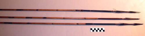 Arrows of bamboo shafts and wooden heads with two or more rows of +