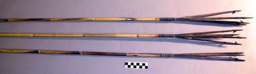 Partly made hunting arrows for flying fox - long bamboo shafts; 3 +