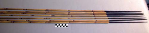Hunting arrows - palm wood points, bamboo shafts