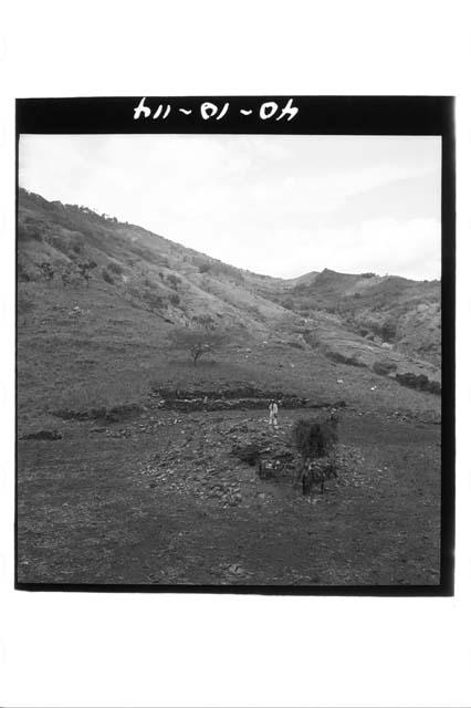 Looking east at east end of group of ruins of San Jose Apantes