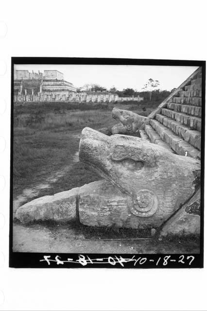 Serpents head at bottom of balustrade of N. stairway of Castillo