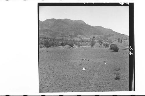 Looking N.W. from mound 8