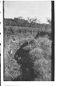 Kidder points to charcoal and pottery in gully caused by cave-in