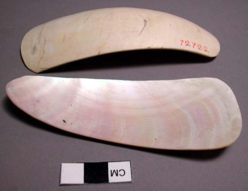 Shell spoons