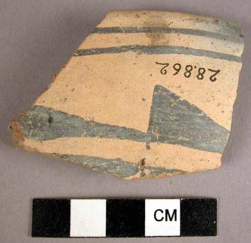 Sherd