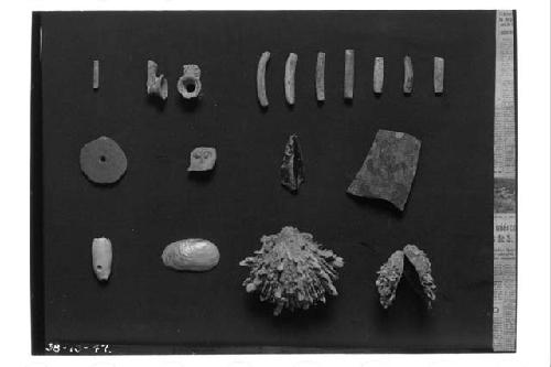 1938 Specimens 91 to 101 inclusive