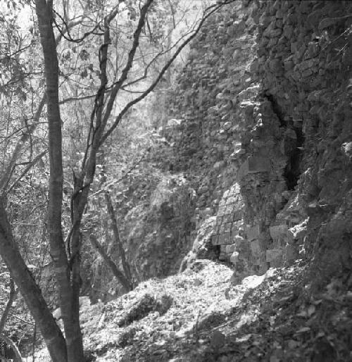 Section of acropolis cut by river at Copan