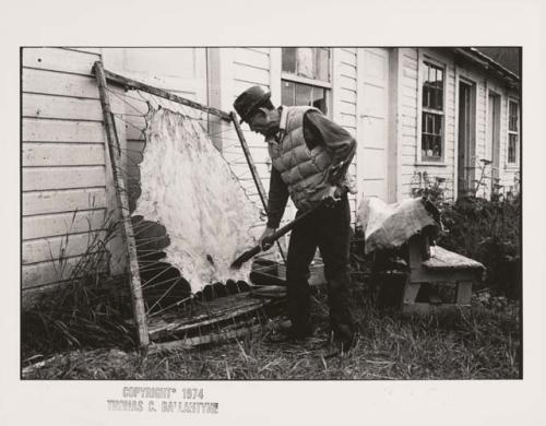 Alaska Native Man fleshing seal skins