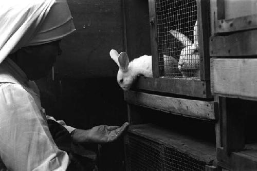 Nun holding out hand to rabbit.