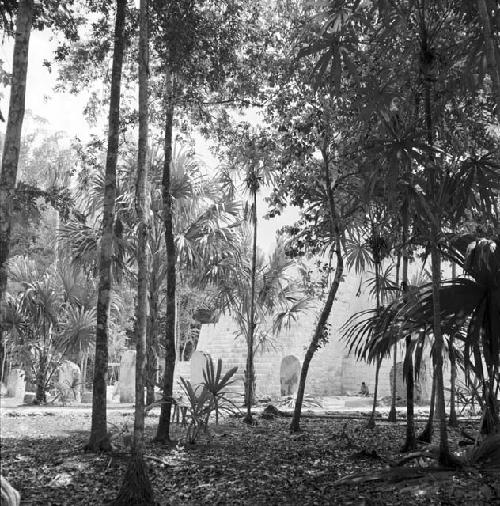 Stelae and Twin Pyramid Complex at Tikal