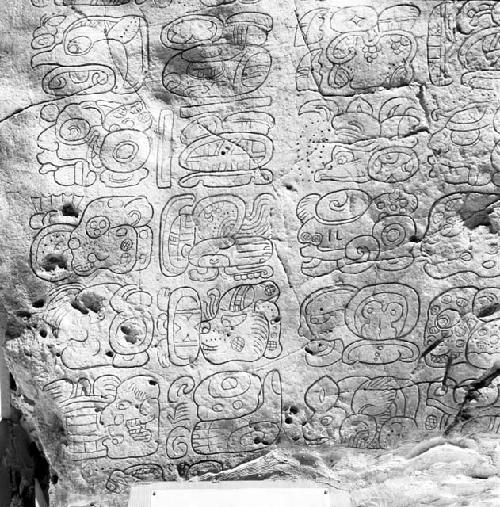 Detail of stela from Caracol