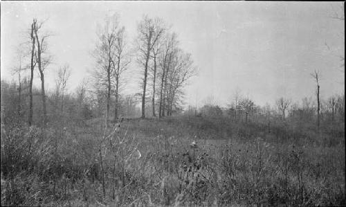 Meek city mound -- from South