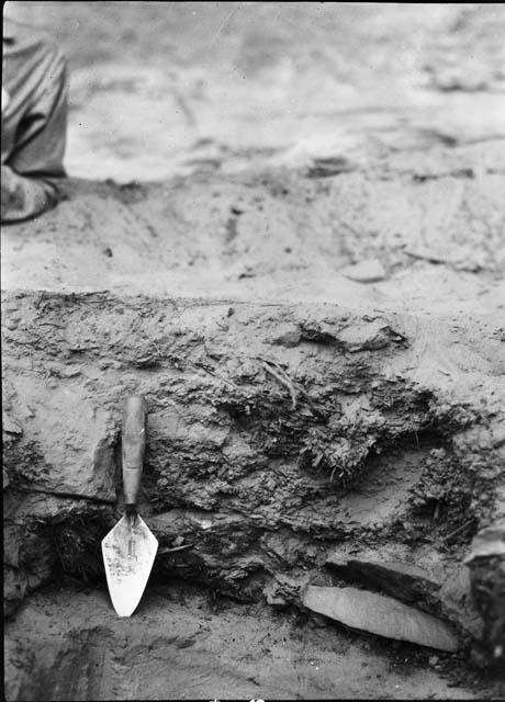 Floor Detail Near Center of Site