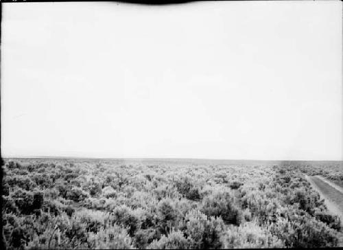 Ute Mt. From Cahone Mesa