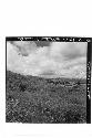 Panorama (10 pictures-360 [degrees]) of Main Group of ruins and outlying mounds,