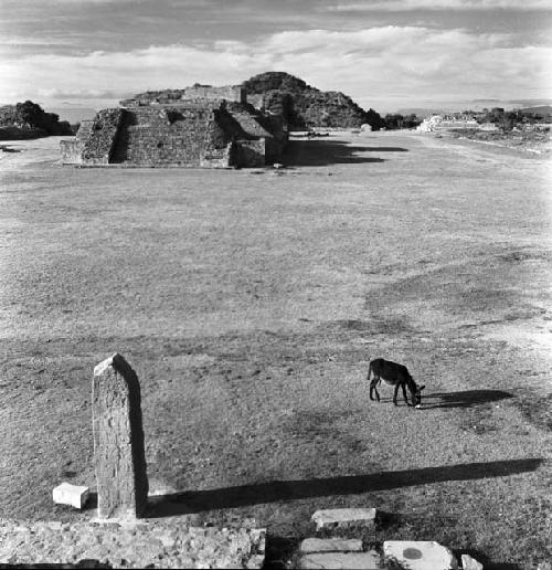 Plaza at Monte Alban